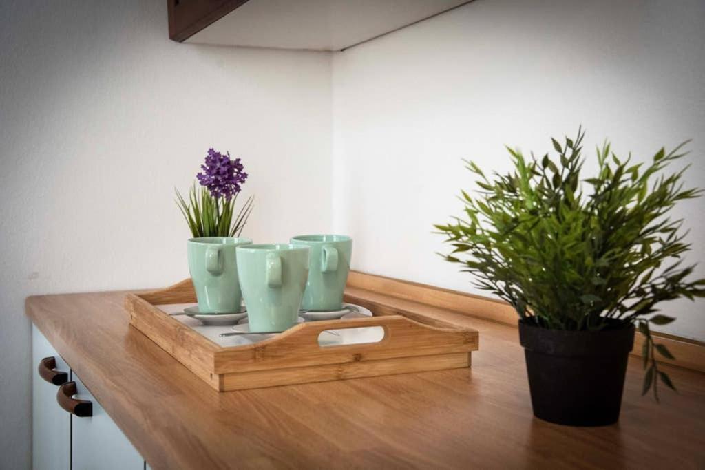 ポンサッコCasa Letiziaアパートメント エクステリア 写真